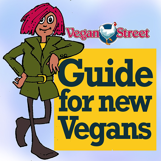 The Vegan Street Guide for New Vegans