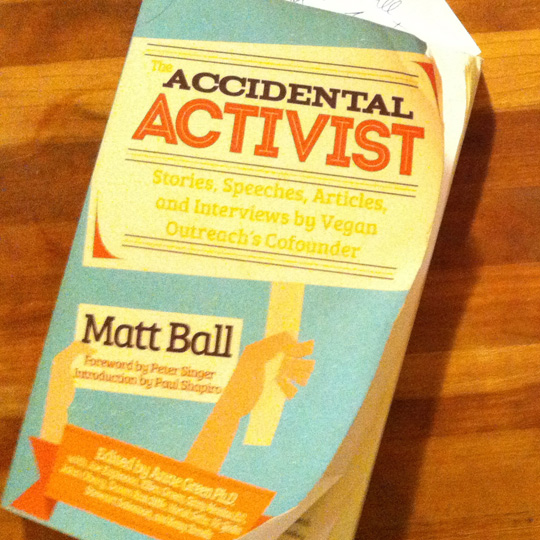 Accidental Activist by Matt Ball