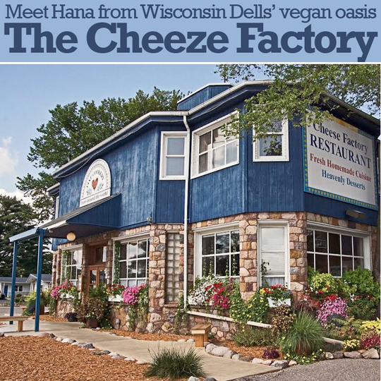 Meet Hannah from the Wisconsin Dells' vegan oasis The Cheeze Factory