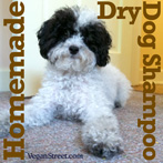 Homemade Dry Dog Shampoo