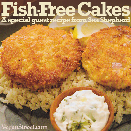 Fish-Free Cakes: A special guest recipe from Sea Shepherd