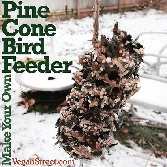 Make Your Own Pine Cone Bird Feeder
