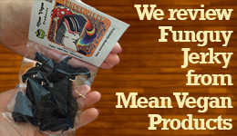 We review Funguy Jerky from Mean Vegan Products