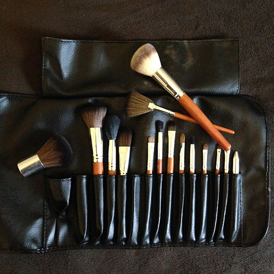 Palate Professional Makeup Brush Collection