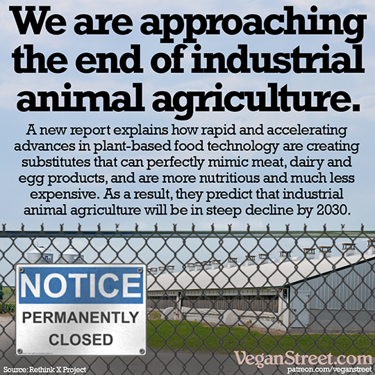 We are approaching the end of industrial animal agriculture.