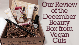 Our Review of the December Beauty Box from Vegan Cuts