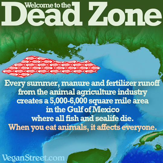 Welcome to the Dead Zone