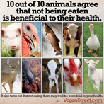 10 out of 10 animals agree than not being eaten is beneficial to their health.