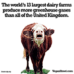 The world's 13 largest dairy farms...