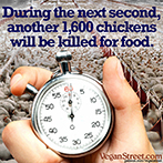During the next second, another 1,600 chickens will be killed for food.