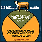 1.3 billion cattle occupy 24% of the world's land.