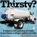 Thirsty? It takes 2,000 gallons of water to produce one gallon of milk.