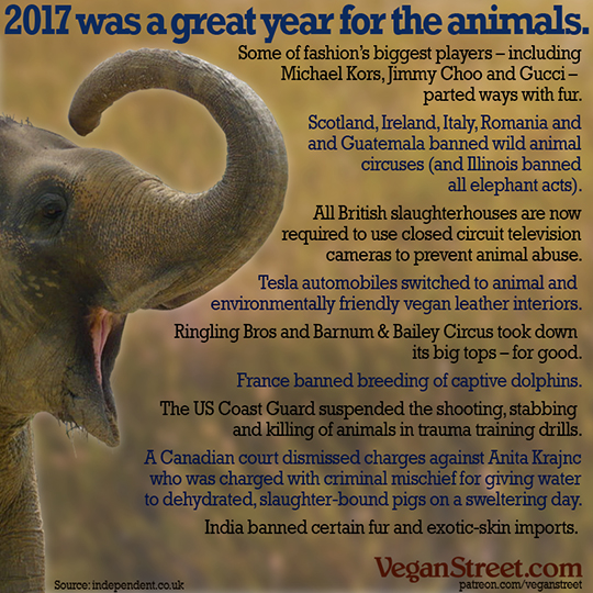 2017 was a good year for the animals.