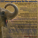 2017 was a great year for the animals.