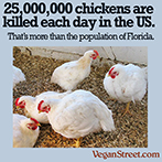 25,000,000 chickens are killed every day.