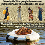 Nearly 4 billion people face severe water shortages at least part of the year.
