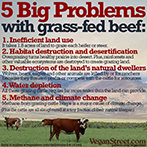 5 big problems with grass-fed beef.