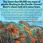 You know that 80,000 ton mass of plastic in the Pacific Ocean?