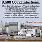 8,500 Covid infections.