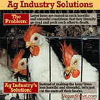 Ag Industry Solutions for Egg-Laying Hens