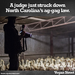 A judge just struck down NC's ag gag law.