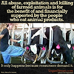 All abuse, exploitation and killing of farmed animals...