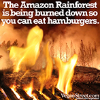 The Amazon Rainforest is being burned down so you can eat hamburgers.