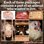Each of these packages contains a part of an animal who wanted to live.