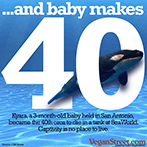 ...and baby makes 40