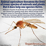 Animal agriculture does help one species thrive.