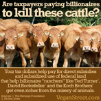 Are taxpayers paying billionaires to kill these animals?