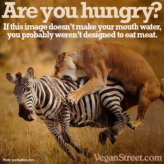 Are you hungry? If not, you're probably not designed to eat meat.