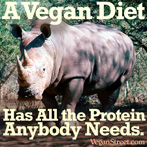 A vegan diet has all the protein anybody needs.