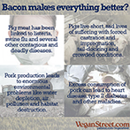 Bacon Makes Everything Better?
