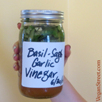Basil-Sage and Garlic Vinegar
