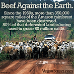 Beef Against the Earth.
