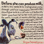 Before she can produce milk...