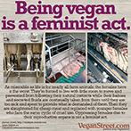Being vegan is a feminist act.