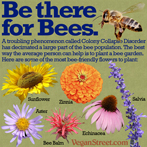 Be there for Bees.