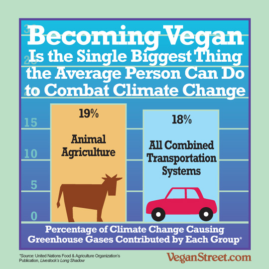 Becoming vegan is the single biggest way to combat climate change