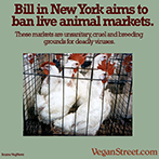 BIll in New York to ban animal markets