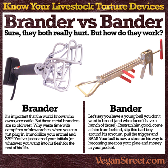 Know your livestock torture devices: Brander vs Bander