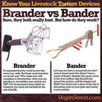 Know your livestock torture devices: Brander vs Bander
