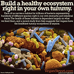 Build a healthy ecosystem right in your own tummy.