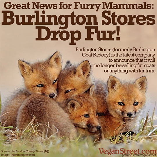 Good News for Furry Animals: Burlington Stores Drop Fur!