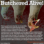 Butchered Alive!