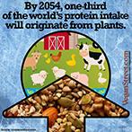 By 2054, one third of the world's protein intake will originate from plants.