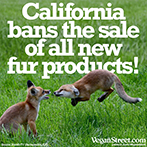 California bans the sale of all new fur products.