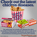 Check out the latest chicken diseases.