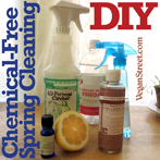 DIY and Chemical-Free Spring Cleaning